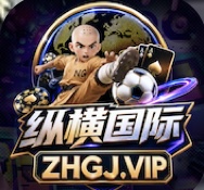 纵横国际图标